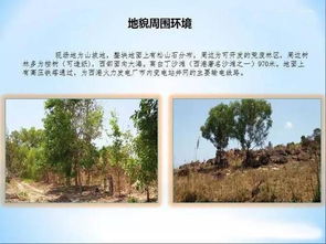 柬埔寨西哈努克港80公頃旅游地產(chǎn)開發(fā)項(xiàng)目推薦